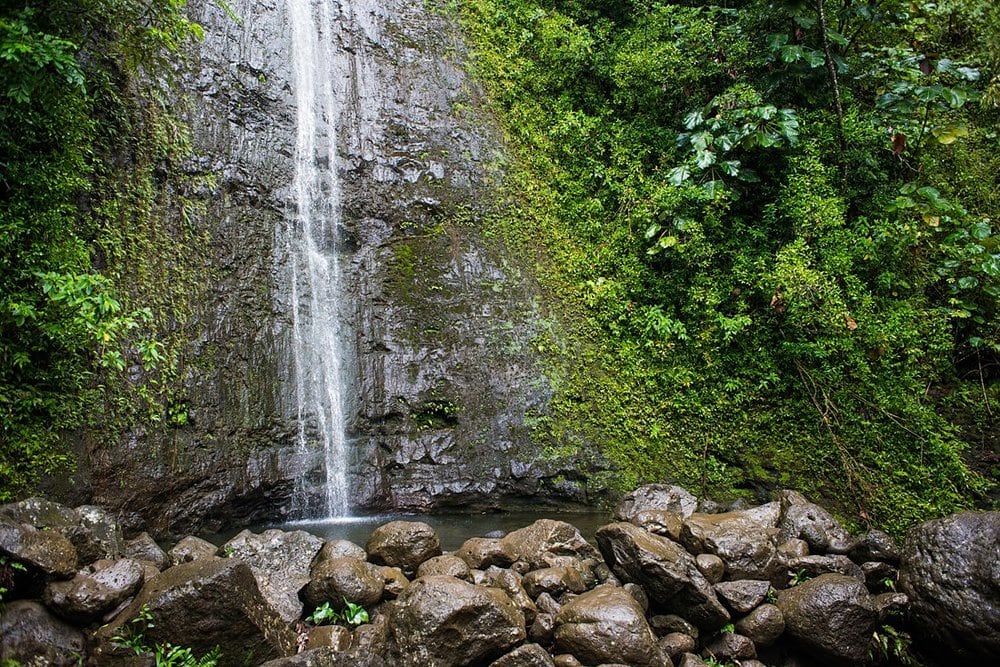 The waterfall and pool at Manoa Falls is a beautiful location for an elopement ceremony in Hawaii 