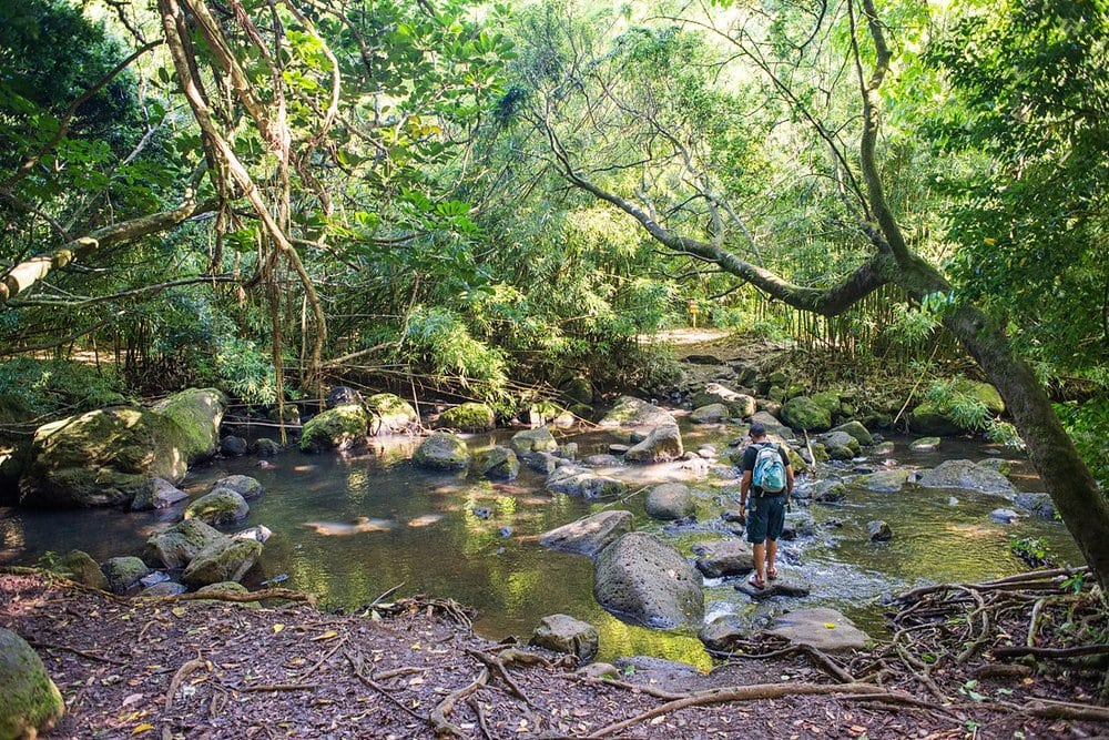 Crossing a beautiful rocky stream on the Judd Trail on Oahu. A serene and gorgeous location to elope that's not a beach! 