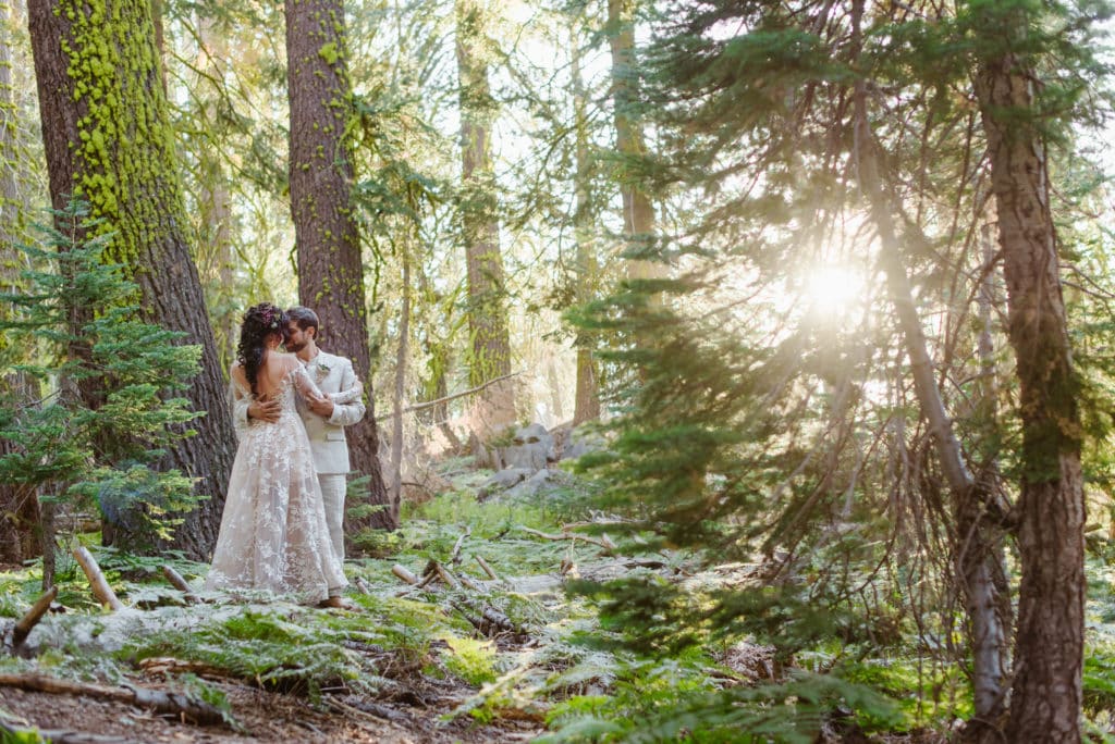 Bride and groom stand on a log in a fern forest as the sun peeks through the trees