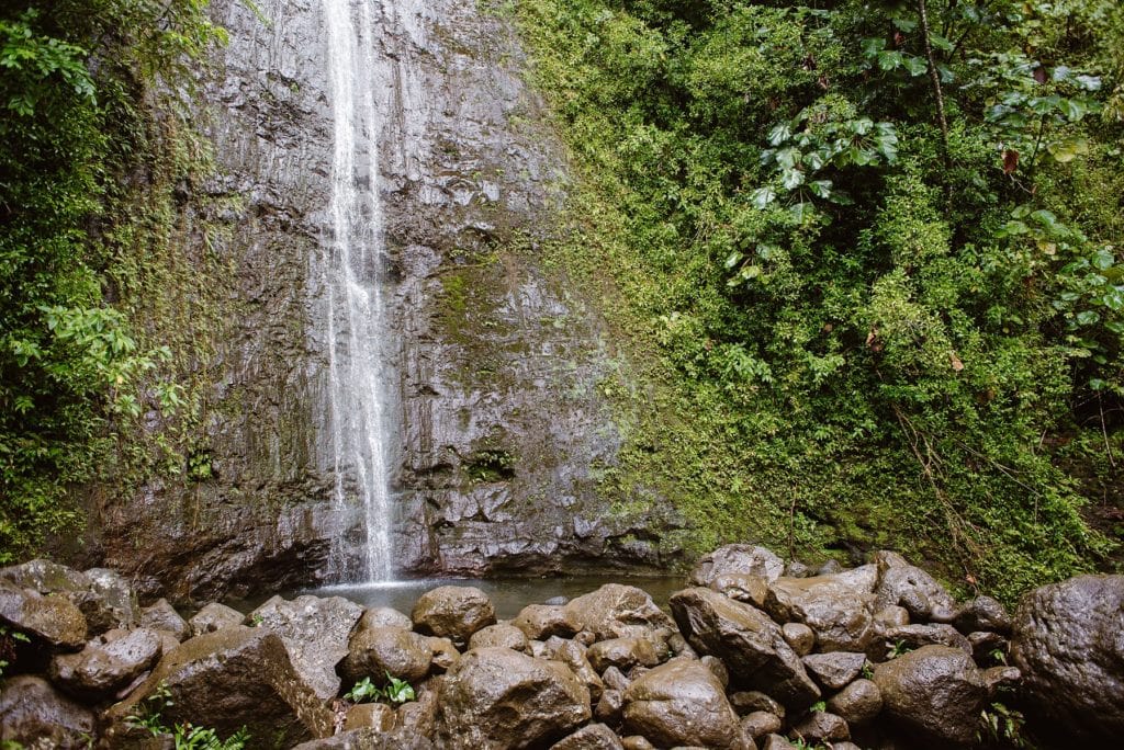 Manoa Falls on Oahu Hawaii is the perfect location for elopement