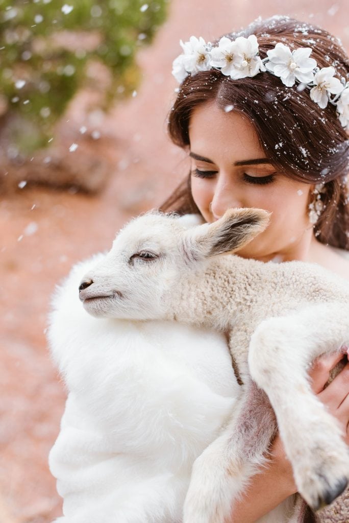 Bride snuggles a white lamb